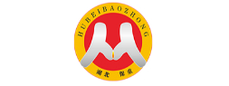 湖北保重保险代理有限公司